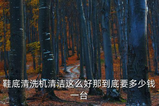 東莞鞋底自動磨邊機，鞋底清洗機清潔這么好那到底要多少錢一臺