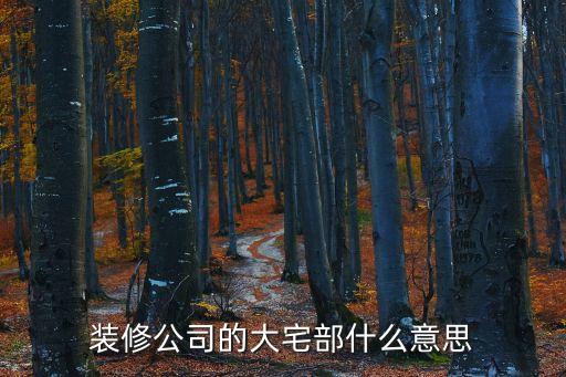 裝修公司的大宅部什么意思