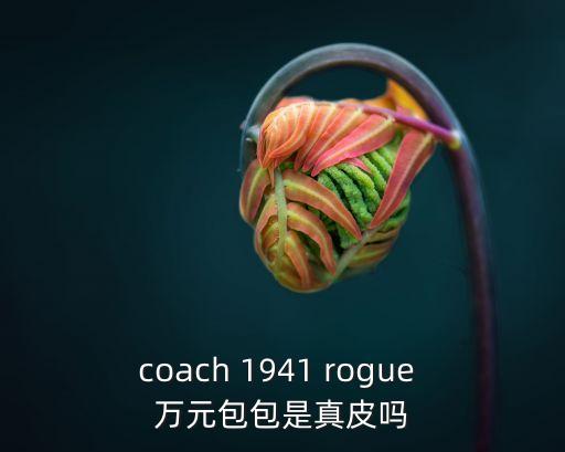 coach 1941 rogue 萬元包包是真皮嗎