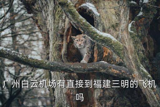 廣州到三明沙縣飛機(jī)，廣州到沙縣飛機(jī)票多少錢(qián)一張