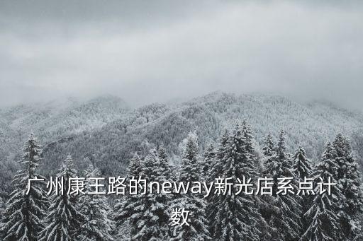 廣州康王路的neway新光店系點計數