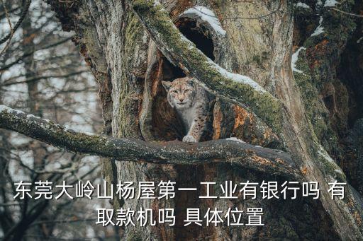 東莞大嶺山楊屋第一工業(yè)有銀行嗎 有取款機嗎 具體位置