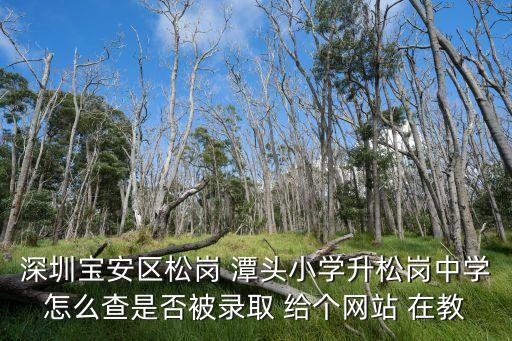 深圳寶安區松崗 潭頭小學升松崗中學怎么查是否被錄取 給個網站 在教