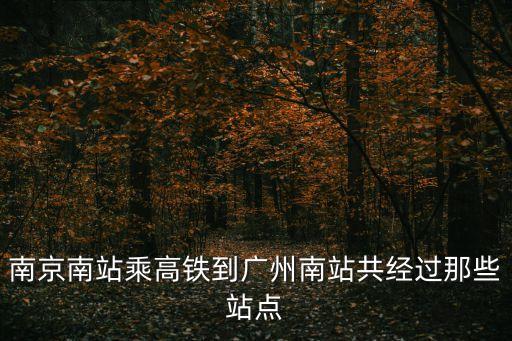 南京南站乘高鐵到廣州南站共經(jīng)過那些站點