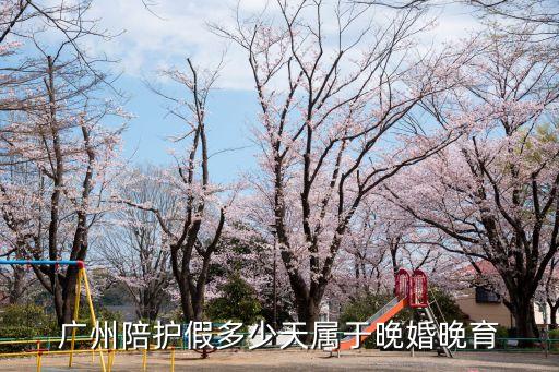 廣州帶薪侍親政策，外來人員在廣州單位買社保退休后可享受廣州退休工資侍遇嗎