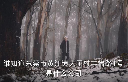 誰知道東莞市黃江鎮大冚村豐怡路1號是什么公司