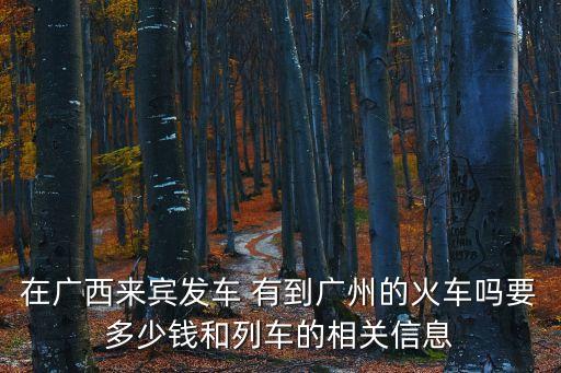 在廣西來賓發(fā)車 有到廣州的火車嗎要多少錢和列車的相關(guān)信息