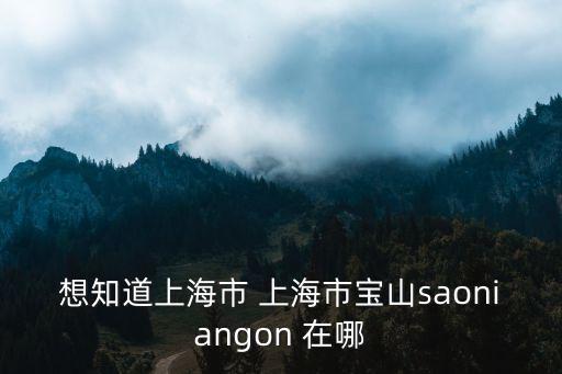上海市寶山區幻影機器人莊園，想知道上海市 上海市寶山saoniangon 在哪