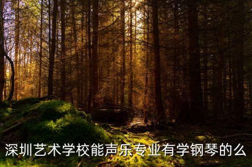 深圳藝校聲樂，廣州深圳上海有什么藝術(shù)學(xué)校聲樂系