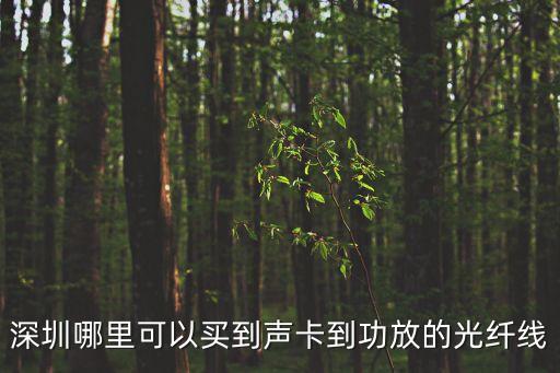 深圳聲聯網，深圳聲牙科技互聯網流量變現效果如何