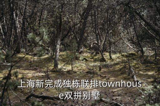 上海新完成獨棟聯排townhouse雙拼別墅