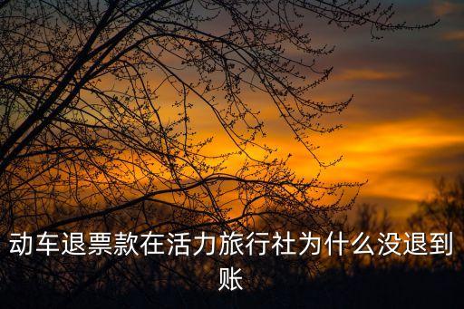 深圳市活力旅行社退票，動(dòng)車退票款在活力旅行社為什么沒(méi)退到賬