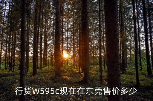 行貨W595c現在在東莞售價多少