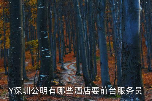 Y深圳公明有哪些酒店要前臺(tái)服務(wù)員