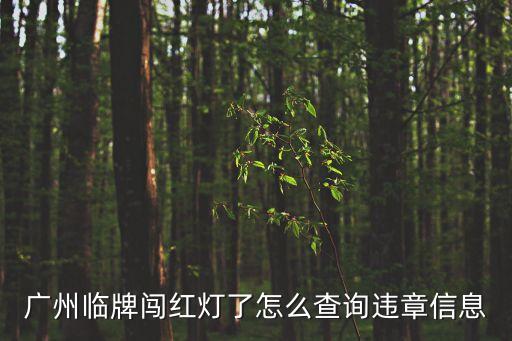 廣州臨時牌闖紅燈，廣州臨牌闖紅燈了怎么查詢違章信息