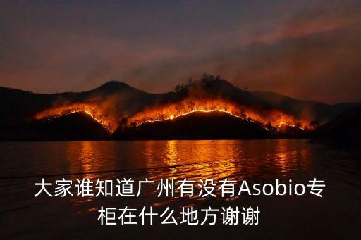 大家誰知道廣州有沒有Asobio專柜在什么地方謝謝