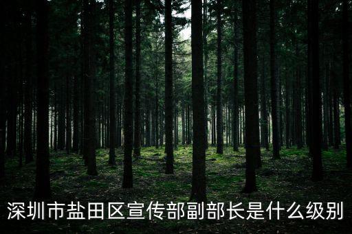 深圳鹽田區(qū)級別，深圳鹽田區(qū)屬于市區(qū)嗎
