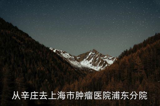 從辛莊去上海市腫瘤醫(yī)院浦東分院