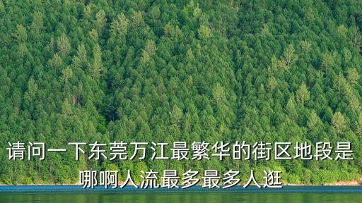 東莞萬江蛄小巷，東莞萬江石美