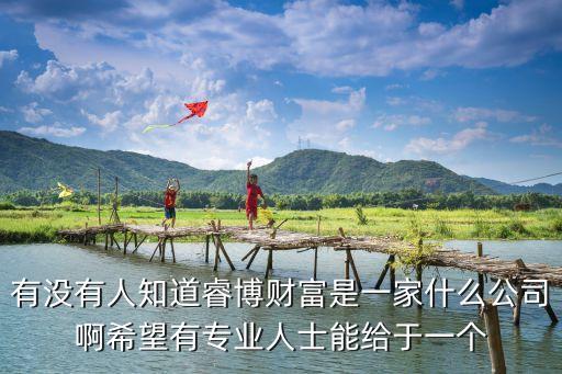 有沒有人知道睿博財(cái)富是一家什么公司啊希望有專業(yè)人士能給于一個(gè)