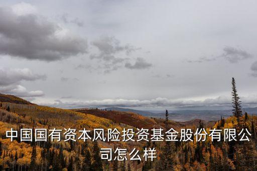 深圳前海環成投資公司，深圳前海有哪些有限合伙企業