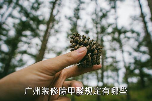 廣州裝修除甲醛規(guī)定有哪些