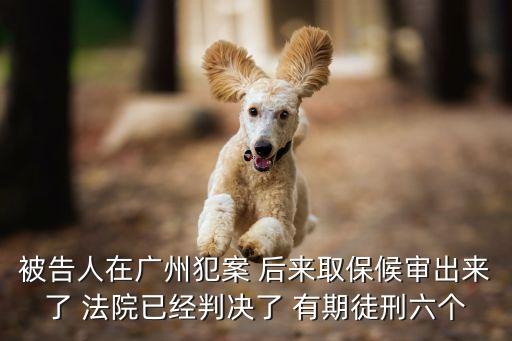 被告人在廣州犯案 后來(lái)取保候?qū)彸鰜?lái)了 法院已經(jīng)判決了 有期徒刑六個(gè)