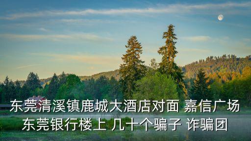 廣州嘉信騙局，上海嘉信集團廣州公司是騙子嗎