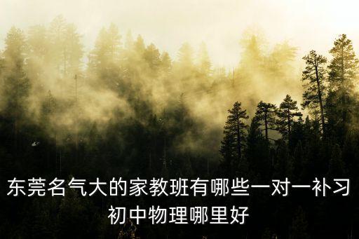 東莞的午托輔導機構(gòu)有哪些，東莞有哪些好的一對一輔導機構(gòu)開學系統(tǒng)精輔初高中文化課