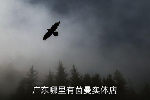 廣東哪里有茵曼實體店
