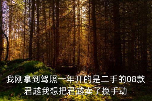 我剛拿到駕照一年開的是二手的08款君越我想把君越賣了換手動