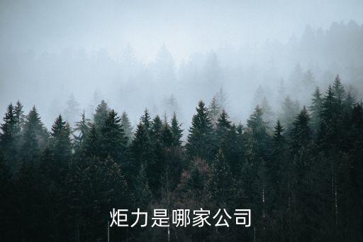 東莞炬力，炬芯科技和炬力集成到底有什么區別