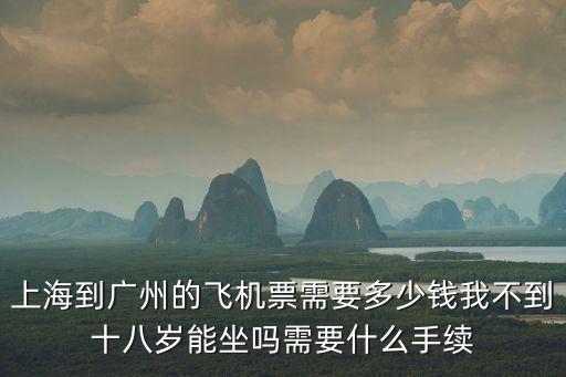 上海到廣州的飛機票需要多少錢我不到十八歲能坐嗎需要什么手續