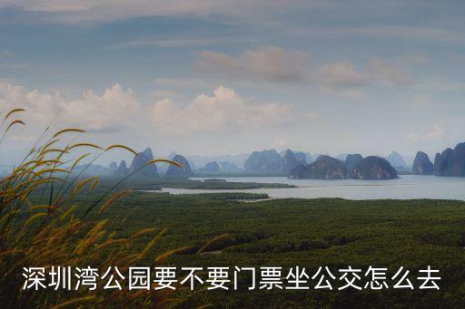 深圳灣公園要不要門票坐公交怎么去