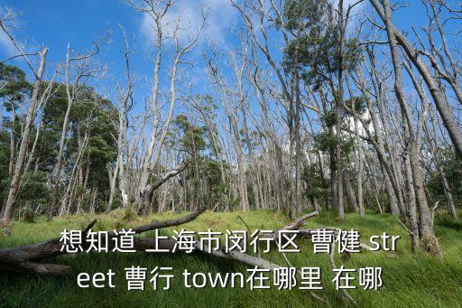 想知道 上海市閔行區 曹健 street 曹行 town在哪里 在哪