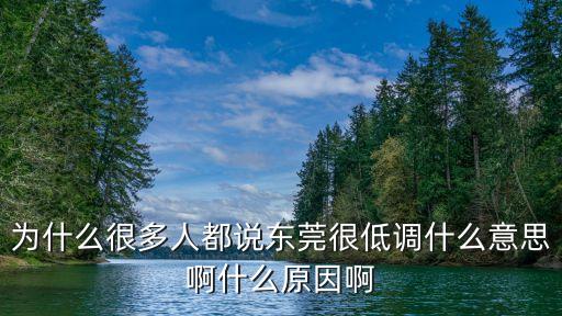 為什么很多人都說東莞很低調什么意思啊什么原因啊