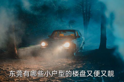 東莞有哪些小戶(hù)型的樓盤(pán)又便又靚
