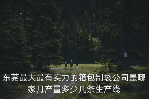 東莞得力箱包廠在哪里，東莞最大最有實力的箱包制袋公司是哪家月產量多少幾條生產線