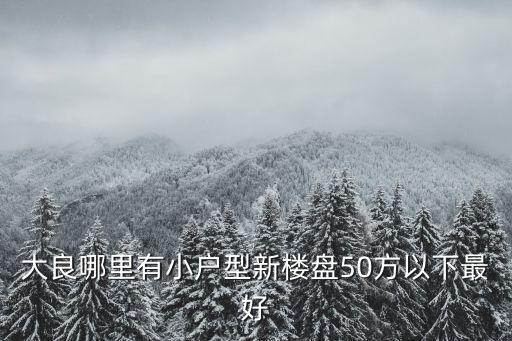 大良哪里有小戶型新樓盤50方以下最好