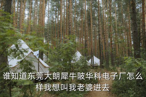 東莞大朗犀牛陂工廠著火，誰知道東莞大朗犀牛陂華科電子廠怎么樣我想叫我老婆進去