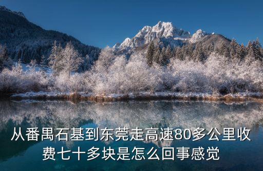 從番禺石基到東莞走高速80多公里收費(fèi)七十多塊是怎么回事感覺