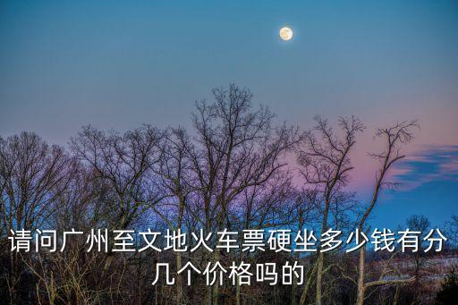 請(qǐng)問廣州至文地火車票硬坐多少錢有分幾個(gè)價(jià)格嗎的
