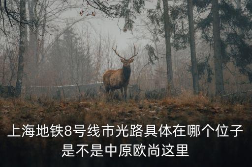 上海市光路地鐵包子，上海地鐵8號線市光路具體在哪個位子是不是中原歐尚這里
