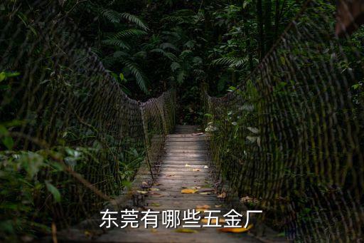 東莞茶山鎮(zhèn)有哪些五金廠，東莞有哪些五金拉絲廠