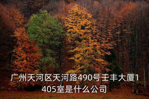 廣州天河區(qū)天河路490號(hào)壬豐大廈1405室是什么公司