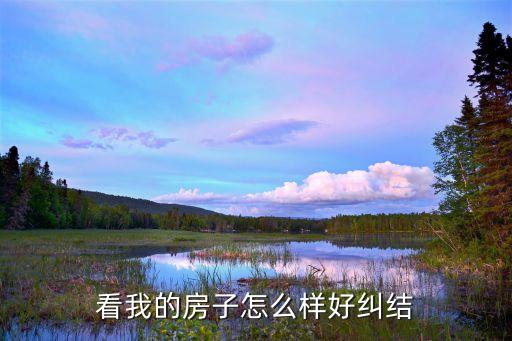 看我的房子怎么樣好糾結(jié)