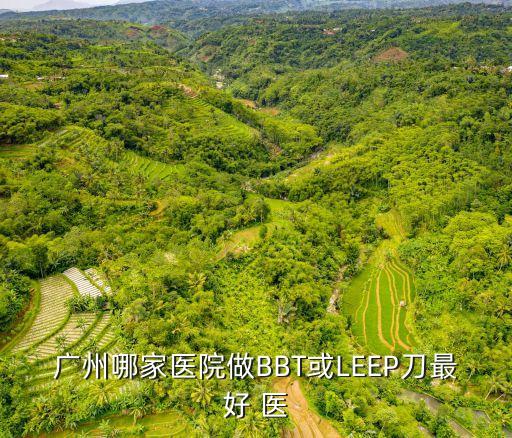 廣州哪家醫院做BBT或LEEP刀最好 醫