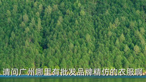 請問廣州哪里有批發(fā)品牌精仿的衣服啊