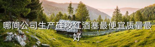 哪間公司生產硅膠紅酒塞最便宜質量最好