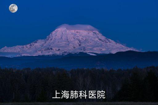 上海肺科醫(yī)院